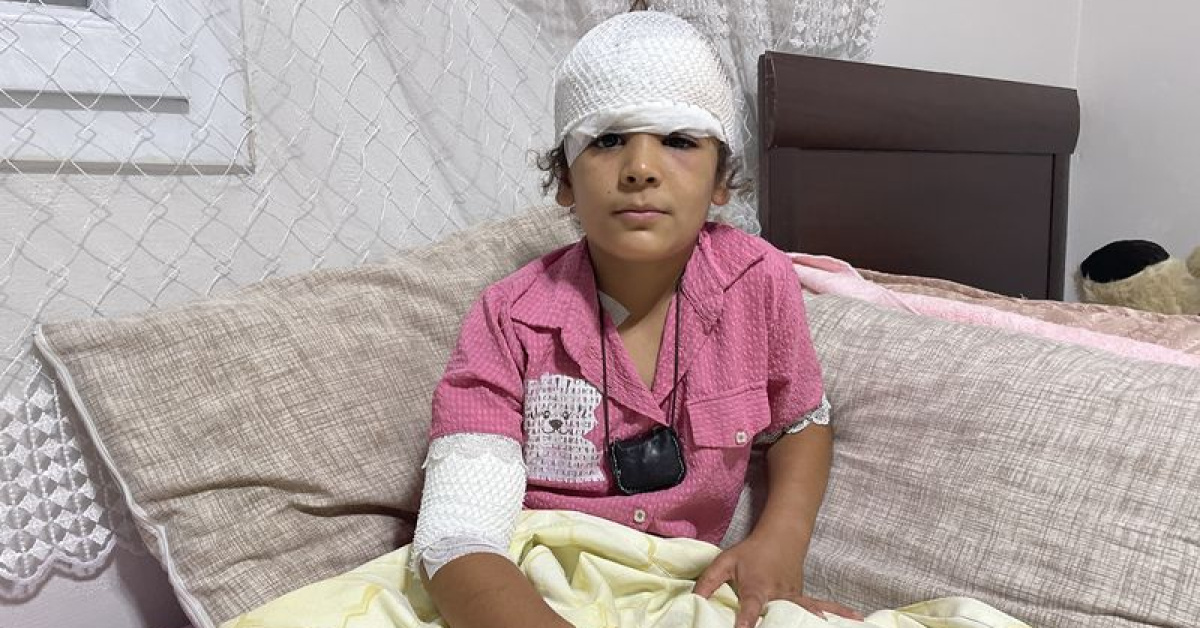 Son Gelişme: Köpeklerin saldırısına uğrayan çocuk yaralandı: İşte Ayrıntılar: Gelişmeler Takip Ediliyor