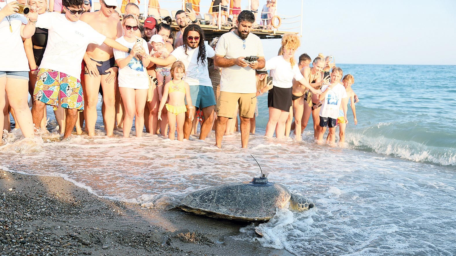 Engelli caretta takipte (Detaylar) ve Merak Edilenler