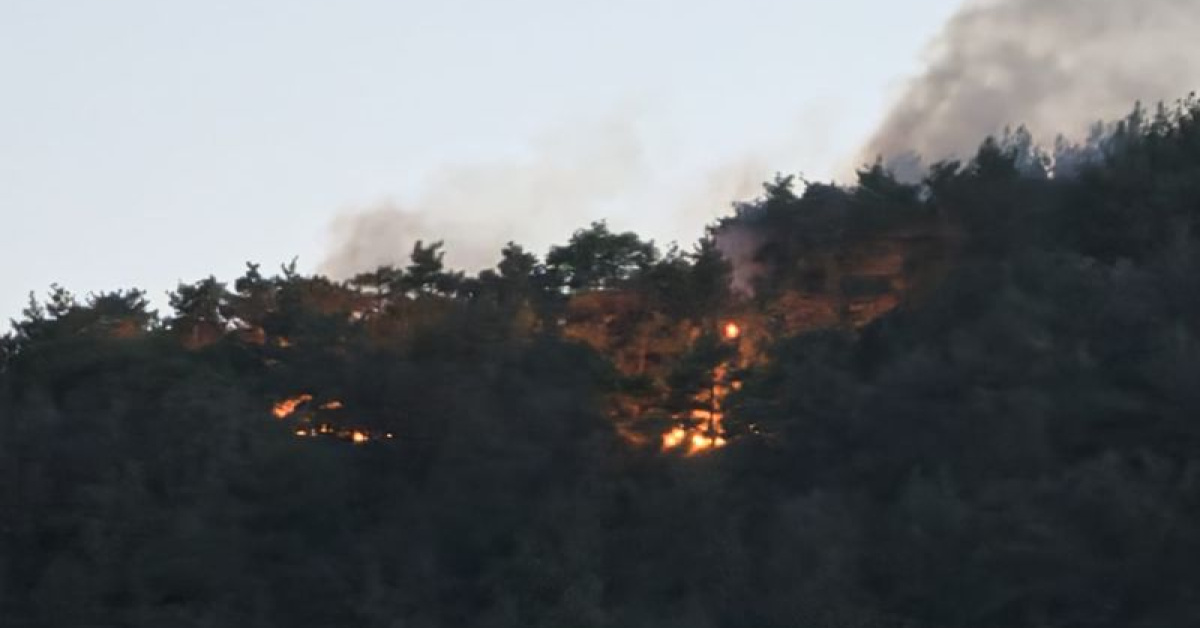 Son Gelişme: Adana'da orman yangını ve Merak Edilenler