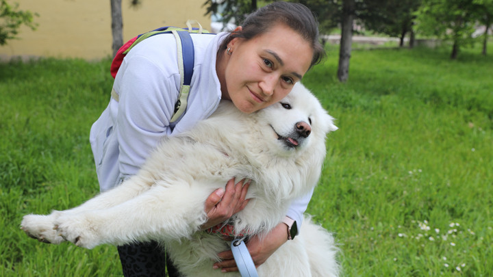 Ayrıntılar Netleşti: Analiz | Trafik kazasında ölen 'Gofret' için tazminat kararı! 'Köpeğimi kaybettim ama müc