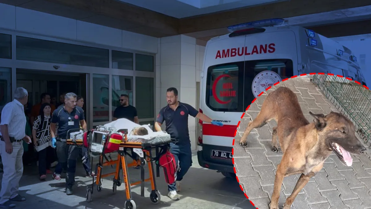 Son Gelişme: Karaman'da köpek dehşeti: 3 yaşındaki çocuk ağır yaralandı (Detaylar) - Son Dakika Bilgileri