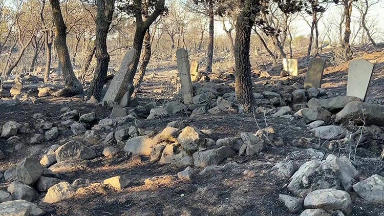 Ayrıntılar Netleşti: Son Gelişme: Ayvalık'ta alevlerin ulaştığı köy mezarlığı yangında hasar gördü | İşte Tüm