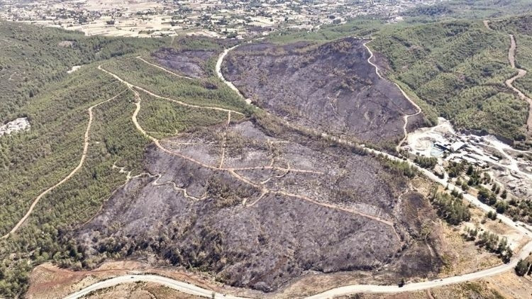 Kritik Açıklama: Analiz | Balıkesir’de 2 kişi hakkında tutuklama kararı verildi… Ormanı kaynakla yakmışlar (De