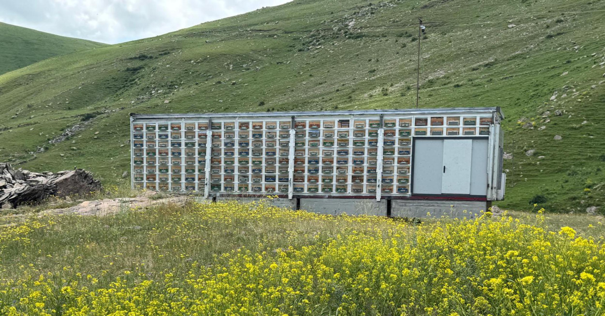 Son Gelişme: TIR dorsesinden sıra dışı dönüşüm! ve Merak Edilenler