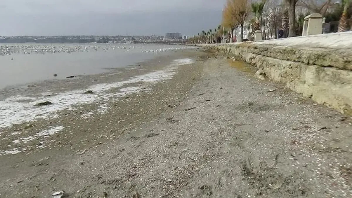 Gündemden Son Bilgiler: Silivri'de denize girmek 3 gün süreyle yasaklandı ve Son Gelişmeler - Son Dakika Bilgi
