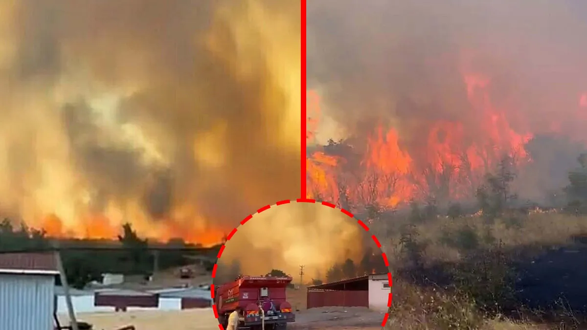 SON DAKİKA... Çanakkale’de korkutan orman yangını! Ekipler peş peşe geldi: Havadan ve karadan müdahale devam e