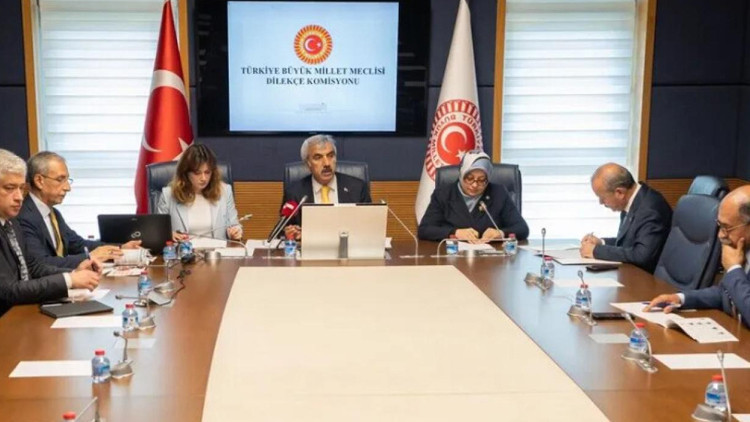 Kritik Açıklama: Analiz | Meclis'e ilginç başvurular: İstanbul kışlık, Ankara yazlık başkent olsun (Detaylar)
