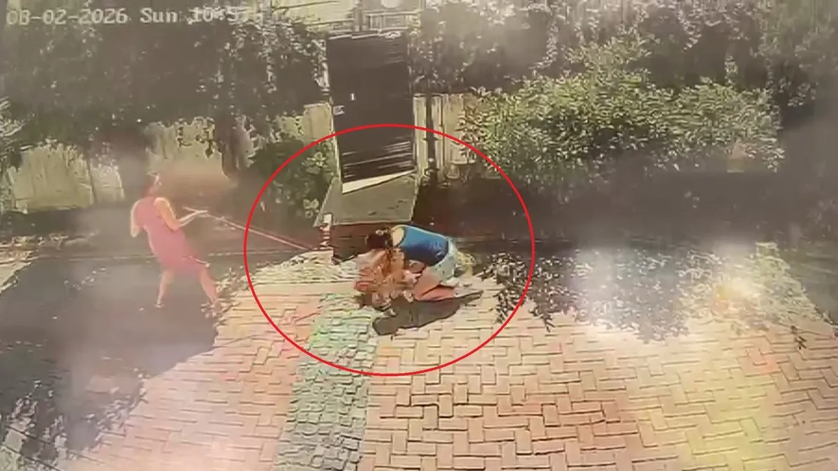 Kritik Açıklama: Samsun'da pitbull dehşeti: Küçük kızı ve köpeğini yaraladı!: İşte Ayrıntılar