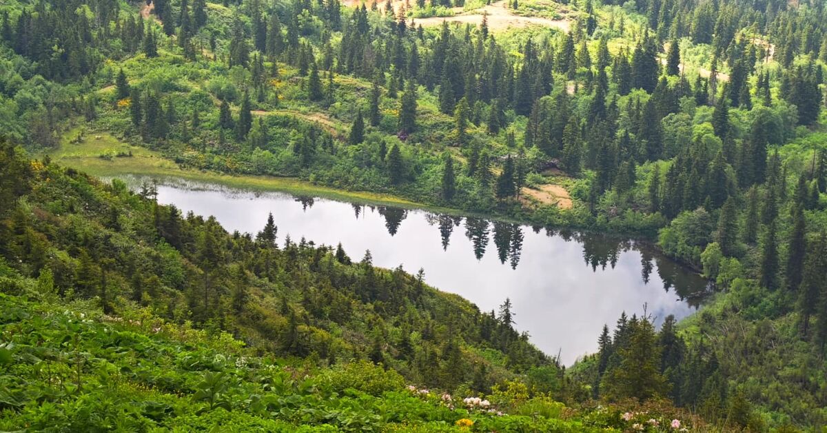 Artvin’in saklı hazinesi (Detaylar) | İşte Tüm Ayrıntılar