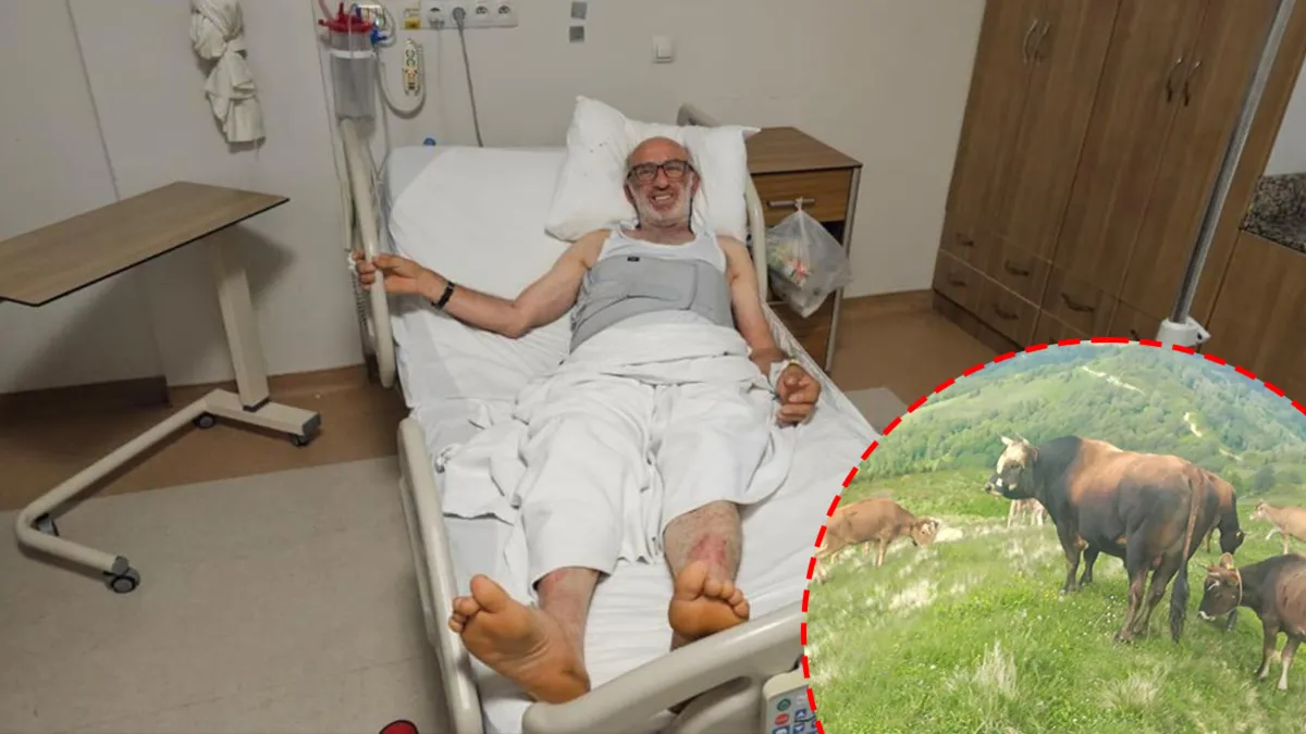 Son Gelişme: 700 kiloluk boğasının saldırısına uğrayan adam ölümden döndü: "Bana hiç böyle davranmamıştı!" (De