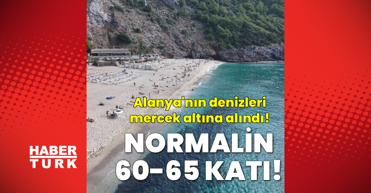 Gündemden Son Bilgiler: Son Gelişme: Normali yüzde 60-65 üzerinde: İşte Ayrıntılar ve Merak Edilenler