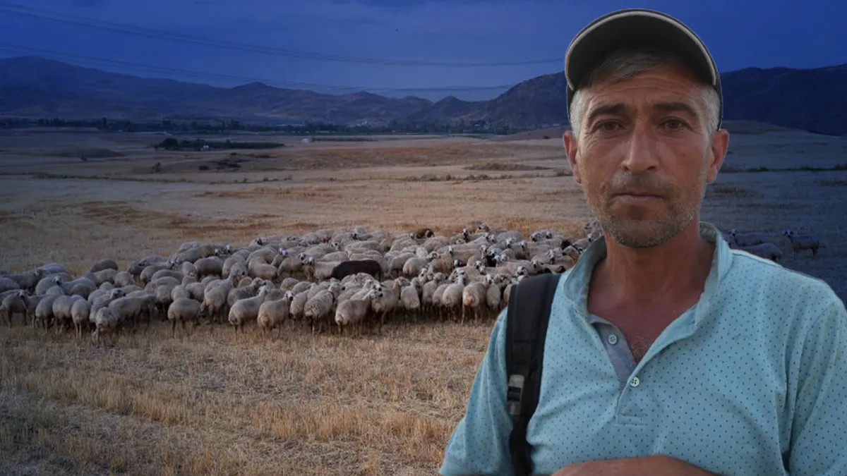 Son Gelişme: Kırıkkale'de 350 küçükbaş hayvanı çalınmıştı! Çobanın hırsızlarla kurduğu hain planı jandarma deş