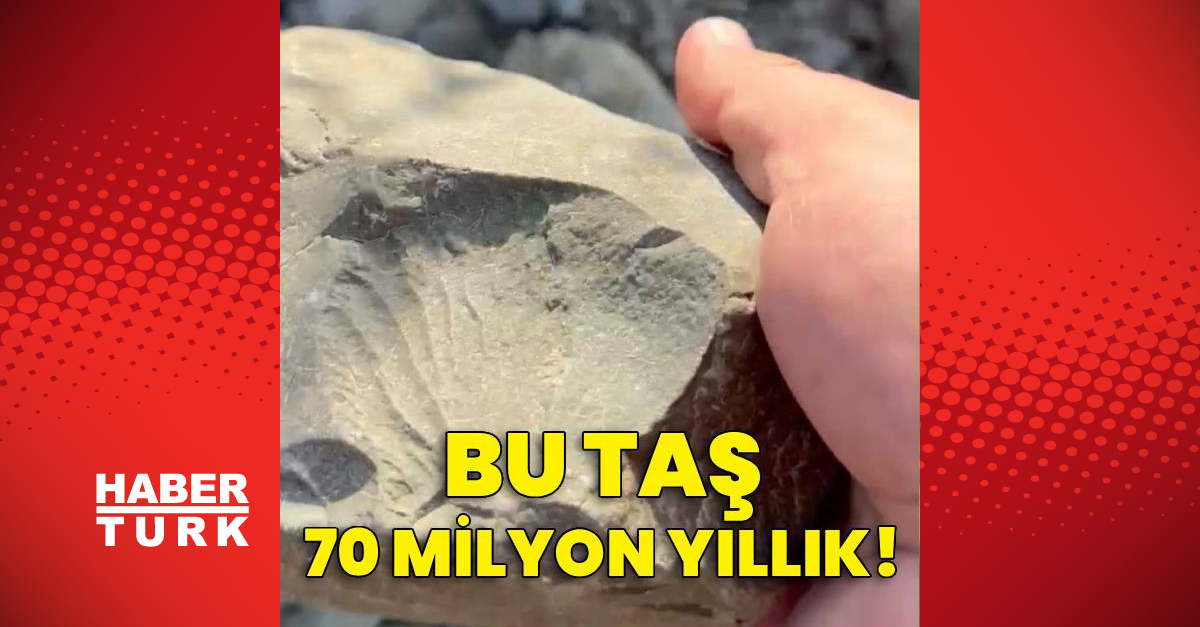Gündemden Son Bilgiler: Son Gelişme: Bu taş 70 milyon yıllık! ve Merak Edilenler