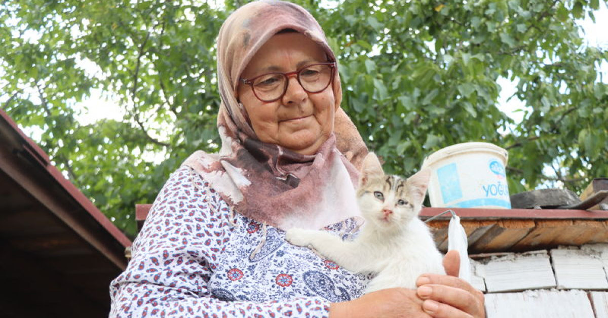 Ayrıntılar Netleşti: Analiz | Emekli çift, bahçesini kedilere yuva yaptı (Detaylar)