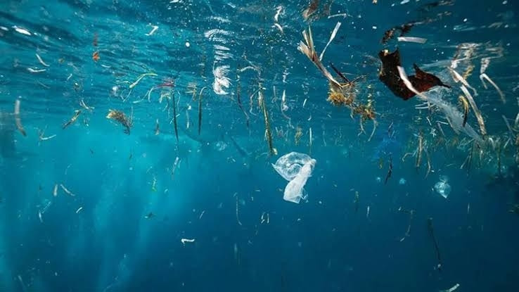 Ayrıntılar Netleşti: Mikroplastik kirliliği için Sıfır Atık Vakfı harekete geçti ve Son Gelişmeler ve Merak Ed