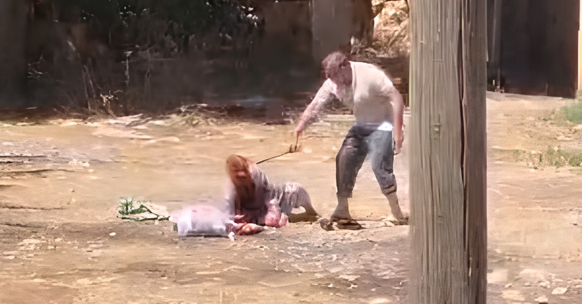 Son Gelişme: Korkunç görüntü! 85 yaşındaki annesini sopayla dövdü! ve Son Gelişmeler ve Merak Edilenler