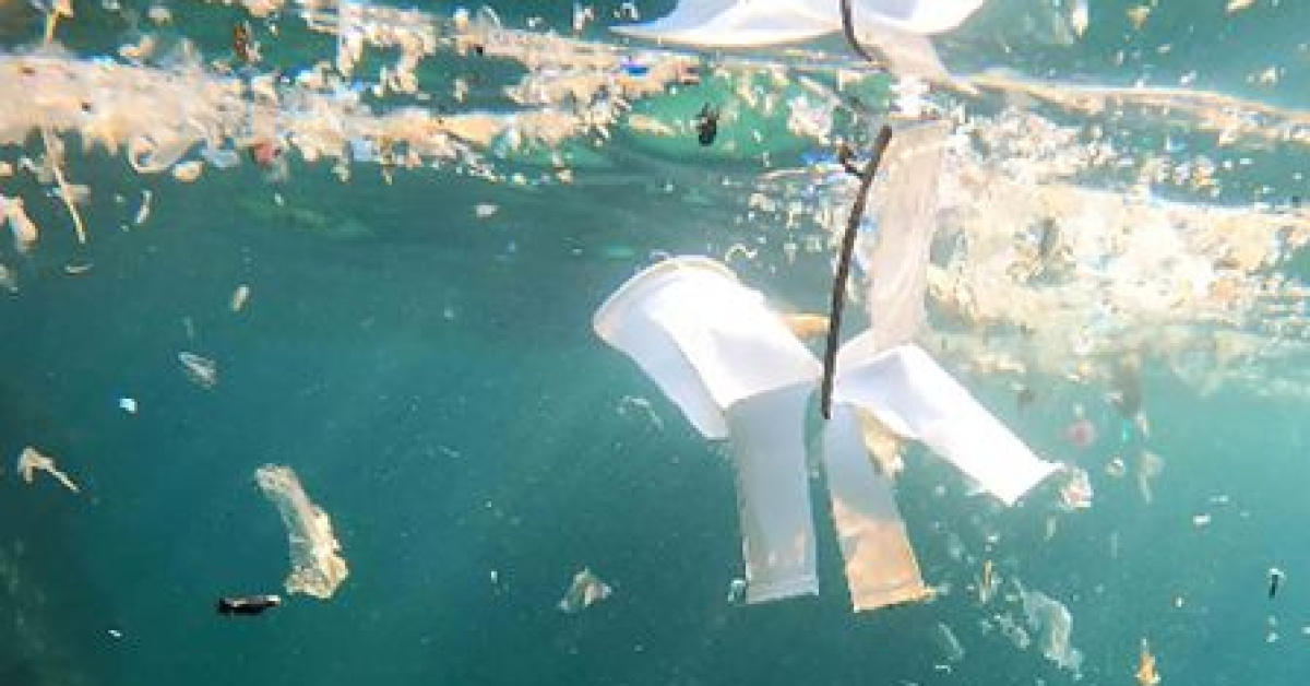 Kritik Açıklama: Son Gelişme: Su altında mikroplastik alarmı ve Son Gelişmeler