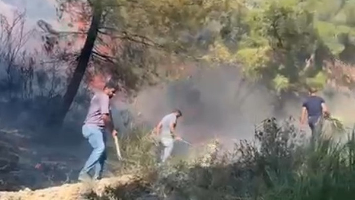 Sıcak Gündem: Hatay'da orman yangını! Havadan ve karadan müdahale ediliyor ve Son Gelişmeler ve Merak Edilenle