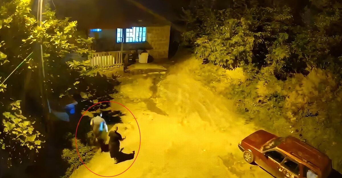 Gündemden Son Bilgiler: Anne ve oğulun ayı paniği kamerada: İşte Ayrıntılar: Gelişmeler Takip Ediliyor