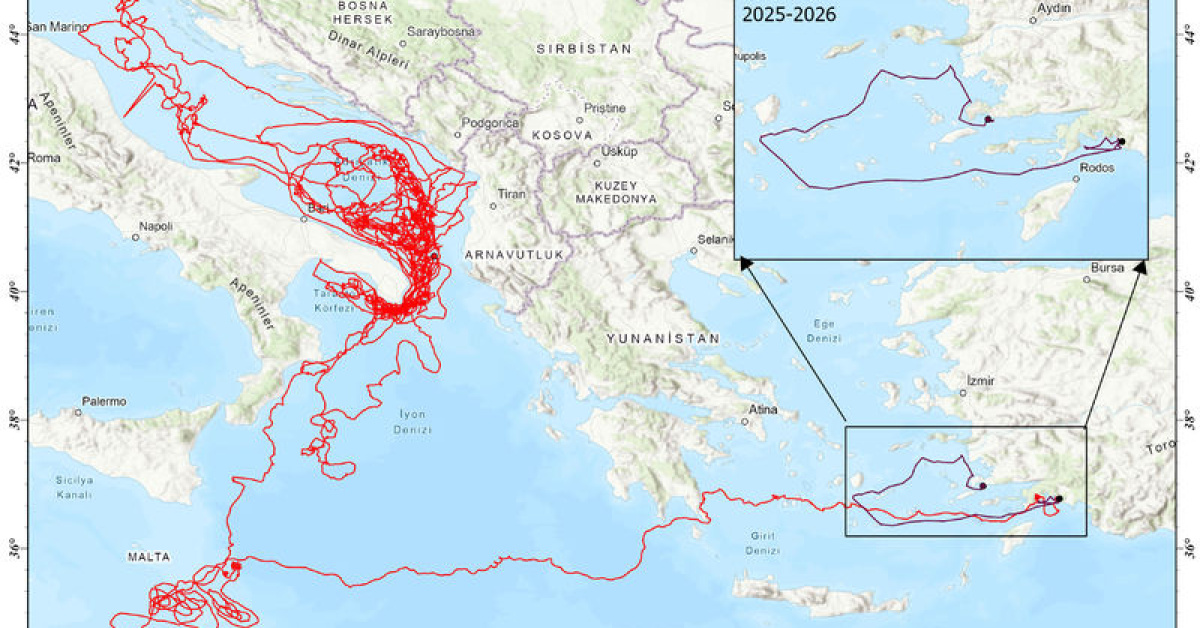 25 bin kilometre yol katetmişti... Bodrum açıklarında! ve Son Gelişmeler: Gelişmeler Takip Ediliyor
