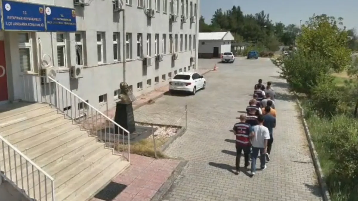 Analiz | Diyarbakır’da uyuşturucuya büyük darbe! 247 bin kök kenevir ve skunk imha edildi ve Son Gelişmeler -
