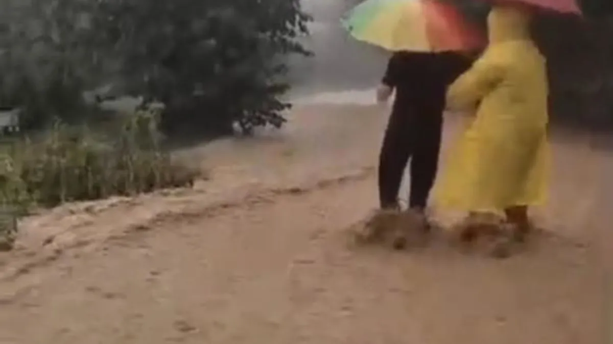 Son Gelişme: Giresun'da şiddetli sağanak: Dereler taştı, su baskınları oldu (Detaylar) ve Merak Edilenler