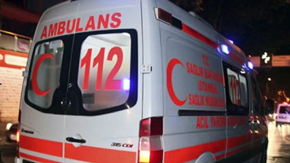 Kritik Açıklama: Son Gelişme: Kedinin ısırdığı 3 yaşındaki kız çocuğu kuduz oldu! Valilik: “Filyasyon, temaslı