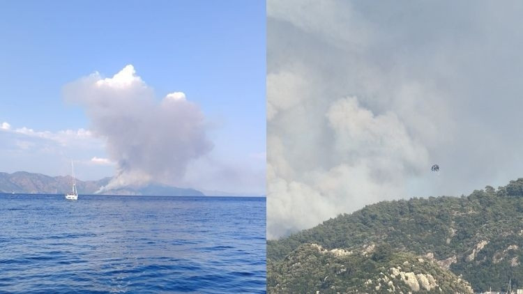 Ayrıntılar Netleşti: Marmaris'te orman yangını ve Son Gelişmeler ve Merak Edilenler