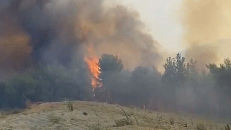 Kritik Açıklama: Analiz | Sıcak Gelişme... 3 ilde alevlerle mücadele! Havadan ve kadardan müdahale ediliyor: İ