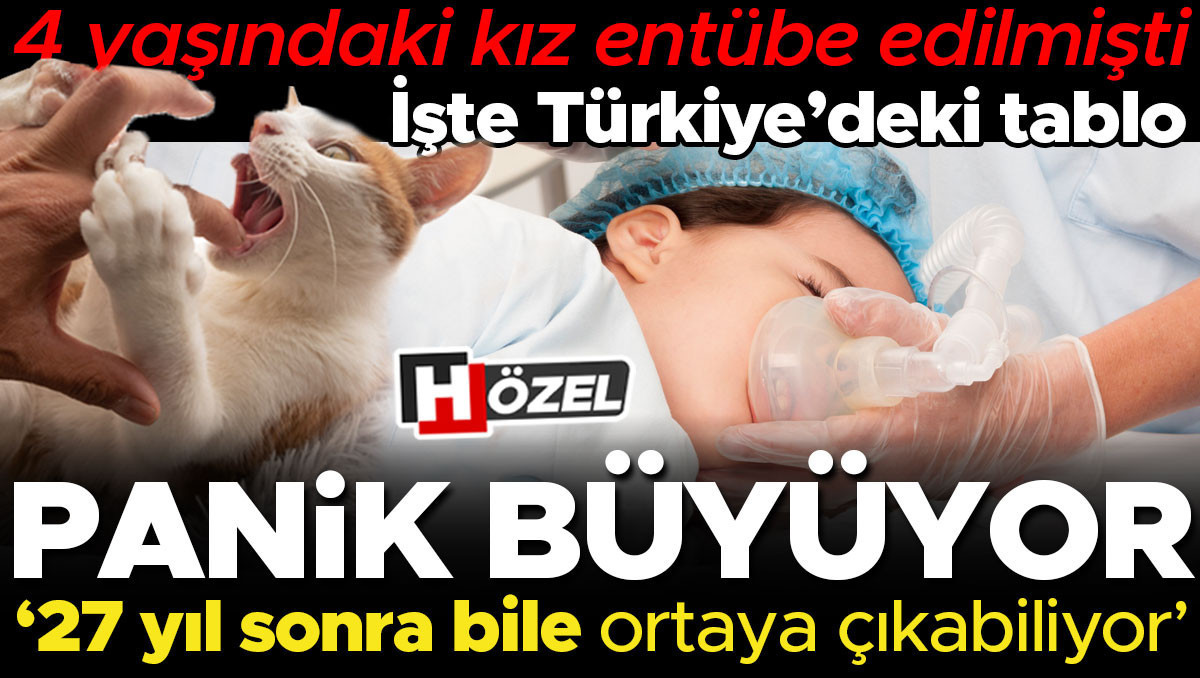 Sıcak Gündem: Kuduz paniği büyüyor! Gerçekten korkmamız gerekiyor mu? İşte A’dan Z’ye bilmeniz gerekenler ve S