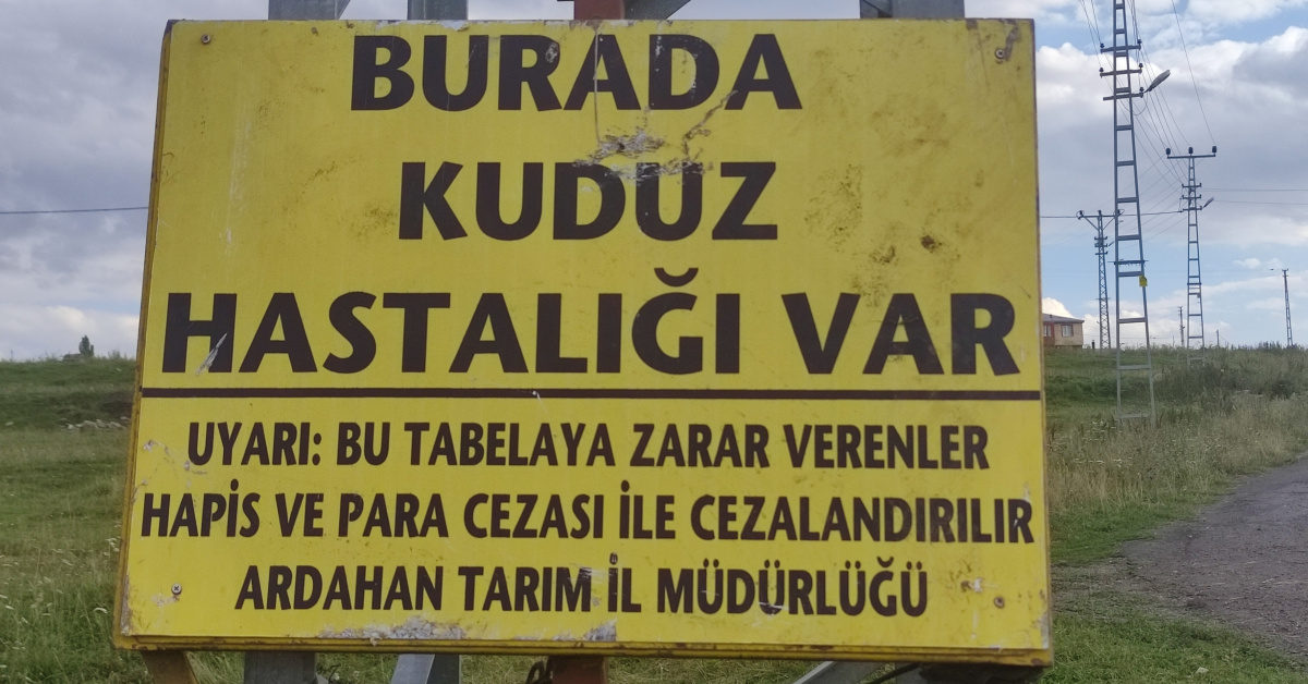 Kritik Açıklama: Mahalleye kuduz karantinası! - Son Dakika Bilgileri