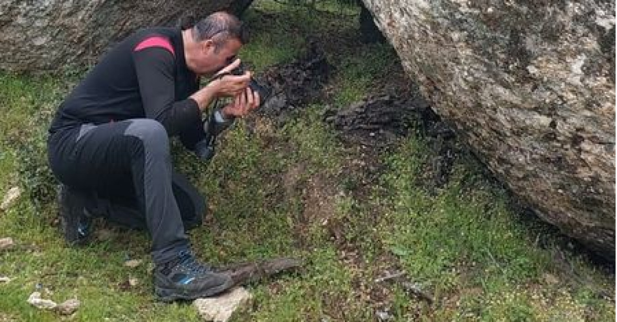 Kaya oyuklarında keşfedildi! Nesli tehlikede | İşte Tüm Ayrıntılar