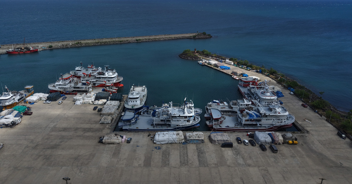 Kritik Açıklama: Av sezonunda bol palamut beklentisi