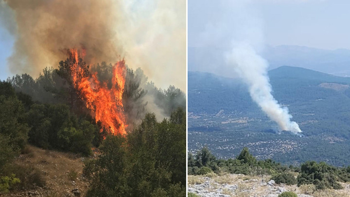 Muğla'da orman yangını! Alevlere havadan ve karadan müdahale sürüyor - Son Dakika Bilgileri