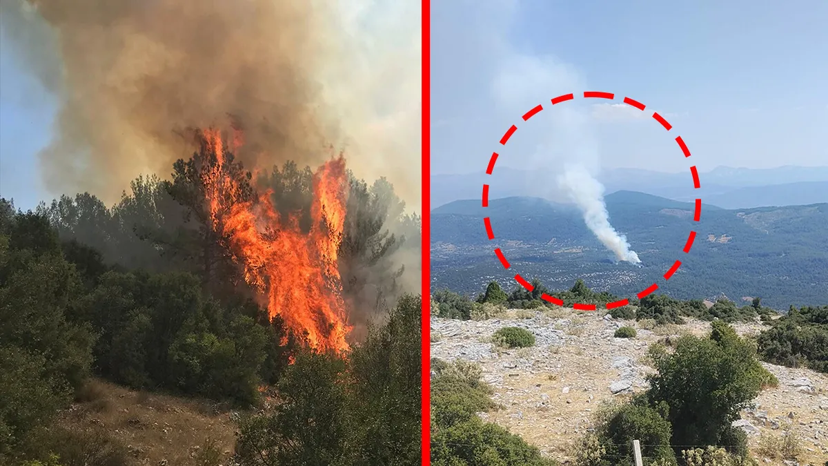 Gündemden Son Bilgiler: Muğla'da orman yangını! Alevler kontrol altına alındı