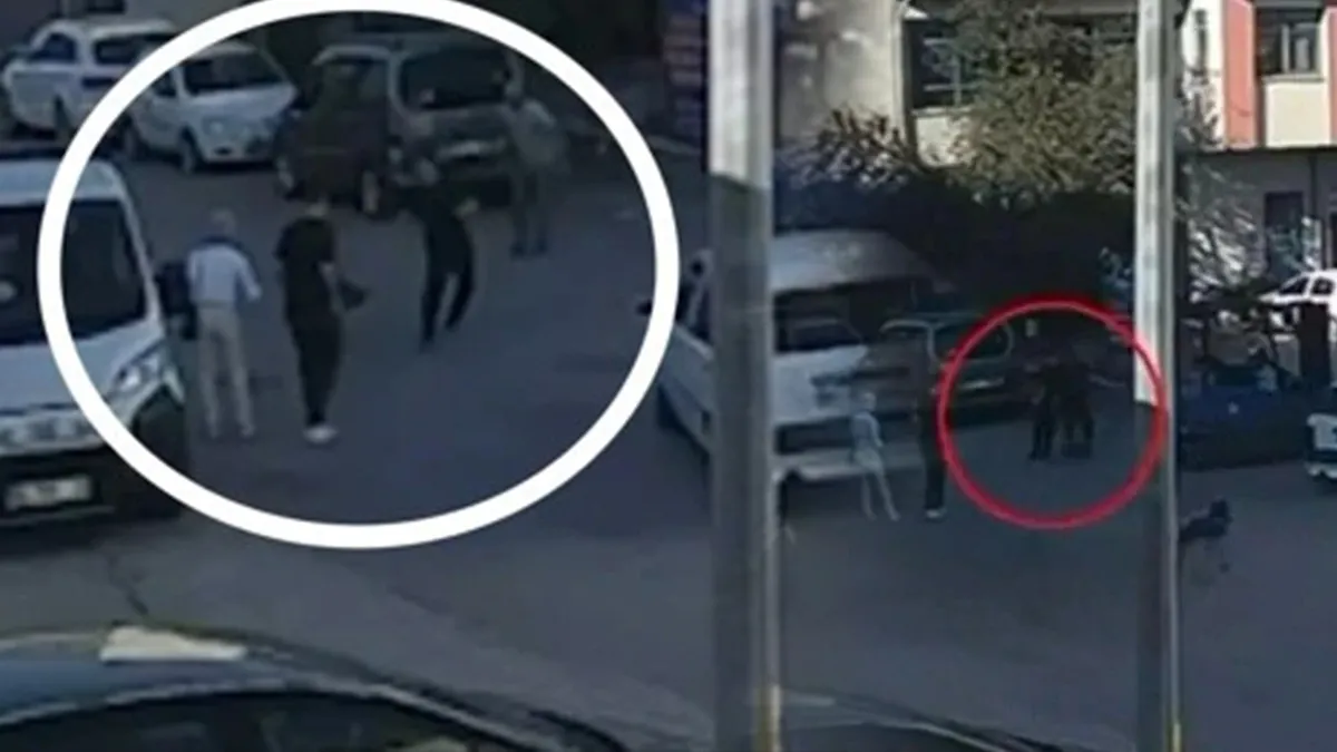 Gündemden Son Bilgiler: Yer Ankara! Tasmasız köpek dehşet saçtı! Korkup sırt üstü düşen çocuk yaşamını yitirdi