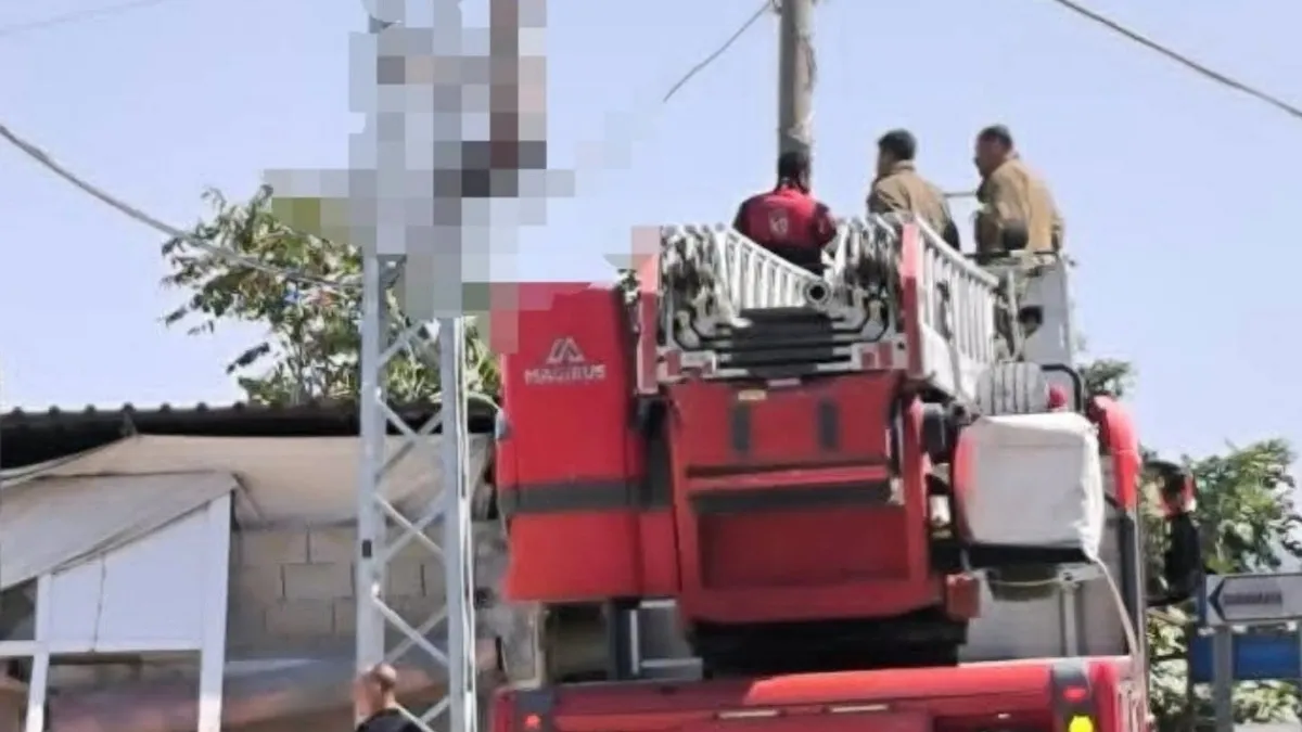 Ayrıntılar Netleşti: Elektrik direğinde erkek cesedi asılı bulundu | İşte Tüm Ayrıntılar