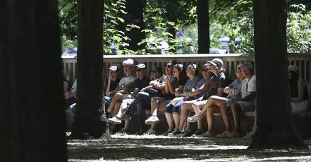 Ayrıntılar Netleşti: Almanya’da sosyal bütçe tarihi zirvede - Son Dakika Bilgileri