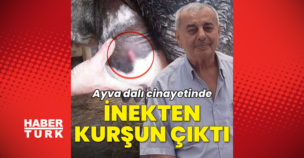 Sıcak Gündem: Ayva dalı cinayetinde kurşunlardan biri inekten çıktı: Gelişmeler Takip Ediliyor