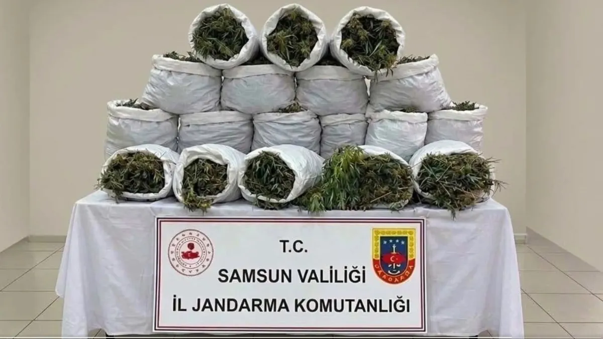 Ayrıntılar Netleşti: Hakkari ve Samsun’da uyuşturucu madde operasyonu: 4 şüpheli yakalandı | İşte Tüm Ayrıntıl