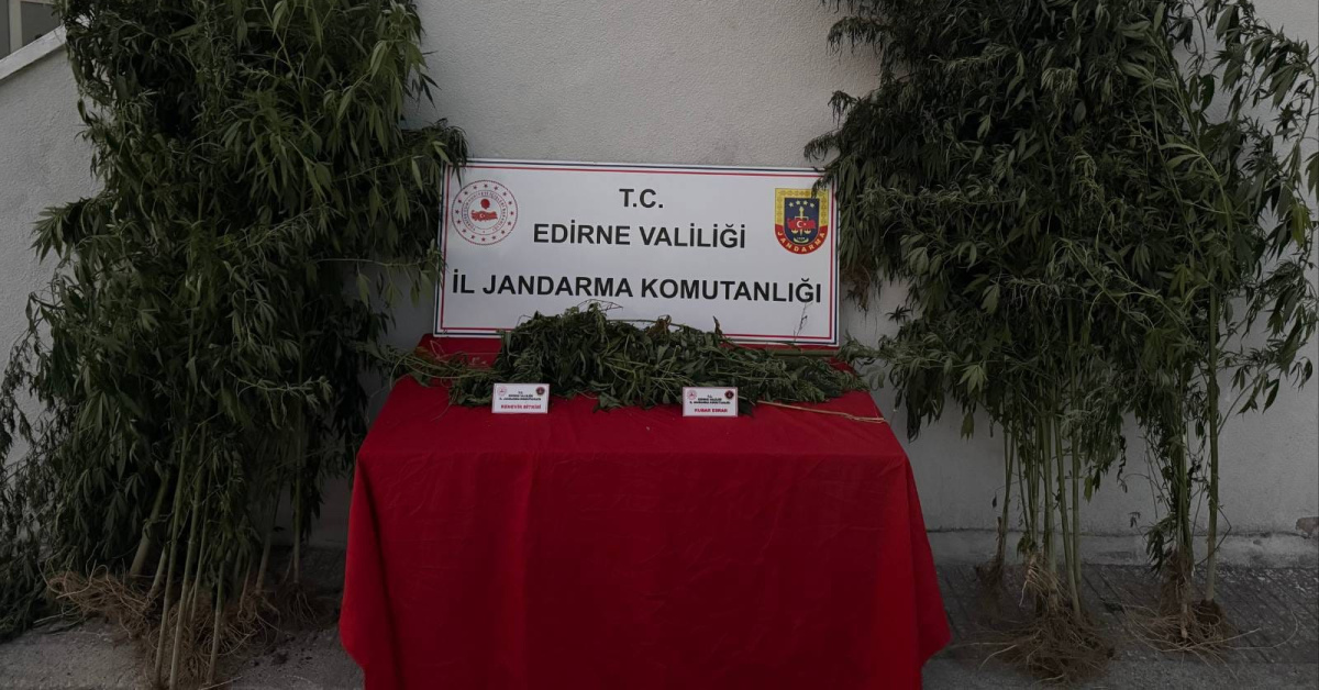 Son Gelişme: Kenevir sularken yakalandı!: Gelişmeler Takip Ediliyor