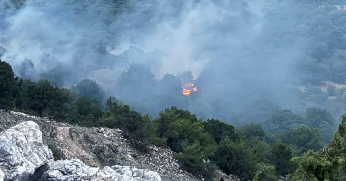 Ayrıntılar Netleşti: Yıldırım, orman yangını çıkardı!