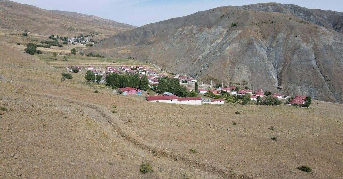 Son Gelişme: Ayı 144 küçükbaşı telef etti!