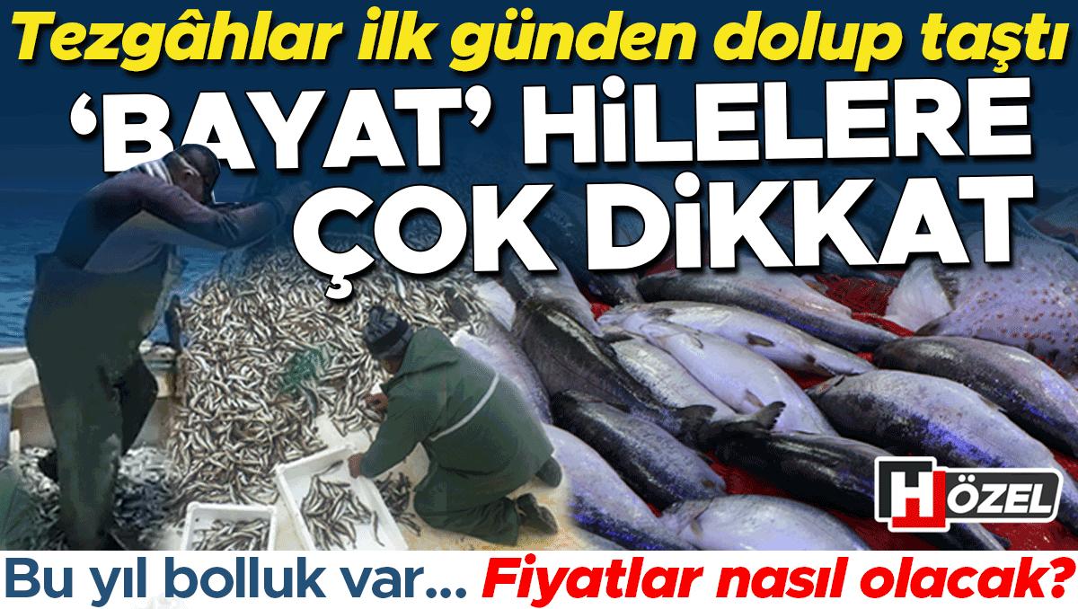 Gündemden Son Bilgiler: Bu sene palamut bolluğu yaşanıyor... Balık fiyatları ne olacak? Aman tezgahlardaki ‘ba