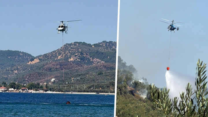 Çanakkale'de zeytinlik alanda yangın! Havadan ve karadan müdahale ediliyor ve Merak Edilenler