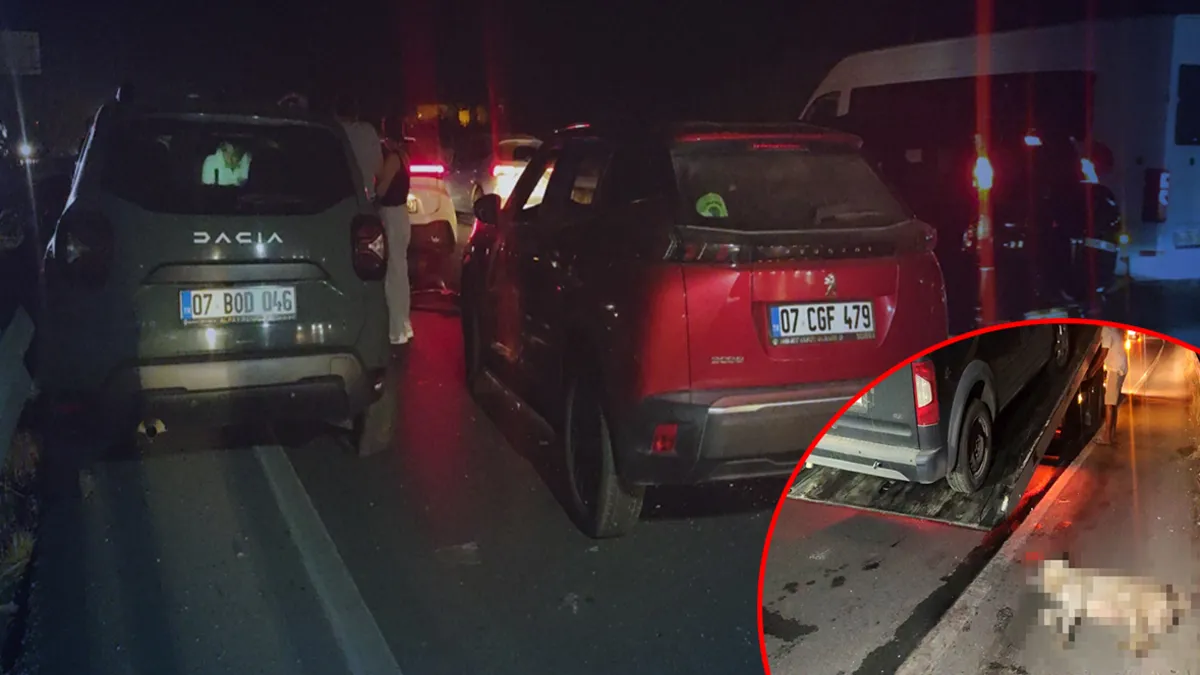 Antalya'da feci kaza! Köpeğe çarpıp devrildi 5 araç birbirine girdi: Gelişmeler Takip Ediliyor