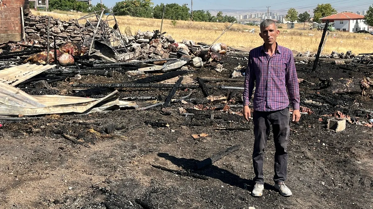 Son Gelişme: Sincan’da ahır yangını! 13 hayvan telef oldu: Kara, yaşadığı dehşet anlarını SABAH’a anlattı | İş