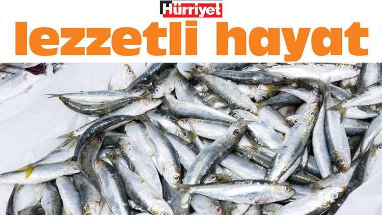 Sıcak Gündem: Haydi rastgele! İyi balığın sırrı tazelikte | İşte Tüm Ayrıntılar
