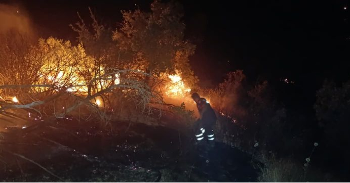 5 ilde yangınlarla mücadele - Son Dakika Bilgileri