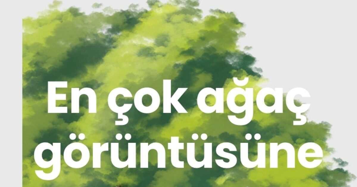 Ayrıntılar Netleşti: En çok ağaç görüntüsüne sahip şehirler | İşte Tüm Ayrıntılar
